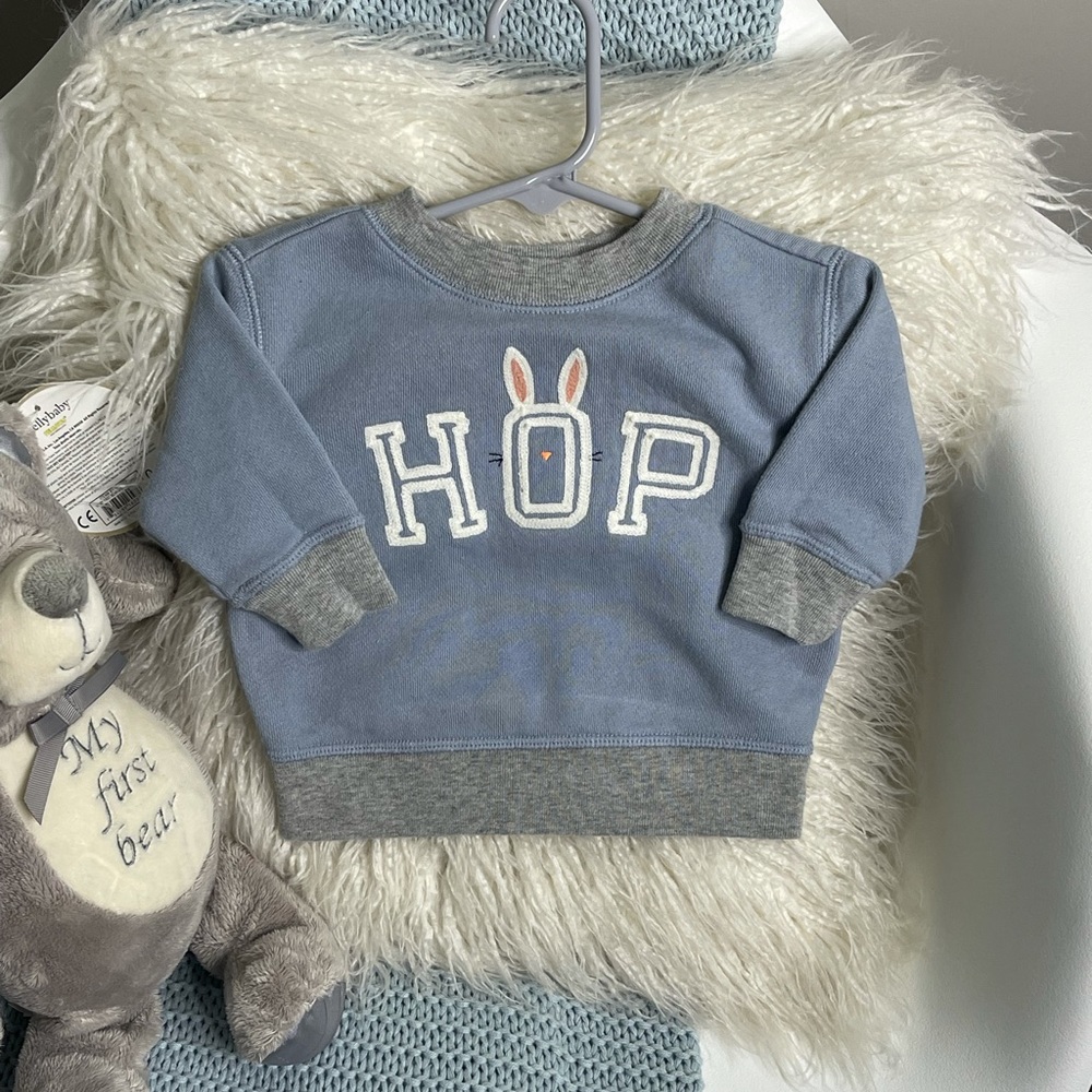 Baby Gap Crewneck Sweater